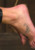 Strapped down and ready to ride.