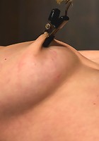 The sweet taste of stress.