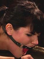 Breaking of Bobbi Starr