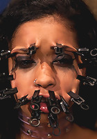 Part 2: Sexual Overload