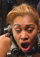 Bootilicious Bondage