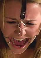 This Little Piggy Can Fly