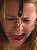 This Little Piggy Can Fly