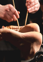 Chastity Lynn - Cum Begging Cunt - Live Show Part 1