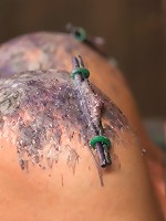 Mia Lelani - Big Titted Cunt Tormented - Live Part 1