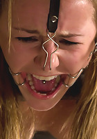 This Little Piggy Can Fly