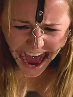 This Little Piggy Can Fly