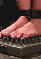 Kelly Divine: Stretched, Fucked, Flogged, and Squirting Everywhere; Rosebud Exposed!!