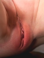 Jessi Palmer's Pigtail Hogtie