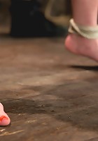 Jessi Palmer - Vulnerable Cunt