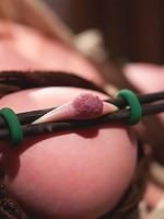 Facial Disgrace BDSM