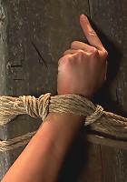 Hot sexy Hawaiian is bound to a pole, lifted to her tip toes with a brutal crotch rope. Made to cum!