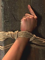 Hot sexy Hawaiian is bound to a pole, lifted to her tip toes with a brutal crotch rope. Made to cum!