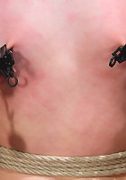 Welcome Alani Pi to HogTied