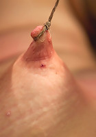 Hot Young Bryn Blayne Bound and Fucked in Every Hole