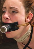 Big Titted Slut Iona Grace Suspended and Tormented on HogTied.com