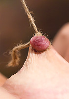 Audrey Rose Challenged with Tough Beam Bondage