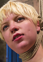 Welcome Alani Pi to HogTied