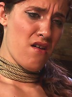 Something you have never seen before!An Amazing 3 girl scene with brutal bondage and orgasms!