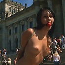 Take me to the Streets