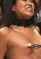 Adorable Asian Model Disgraced