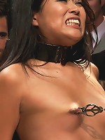 Adorable Asian Model Disgraced