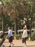 Spanish Hottie gets Throat Fucked on the StreetBound in front of a busy cafe!