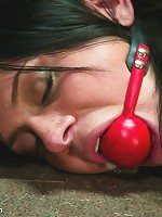 Classic Archive Feature: Bathroom Etiquette