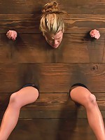 Fresh Meat: Aiden Aspen