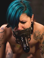 Final Exam-blue and red