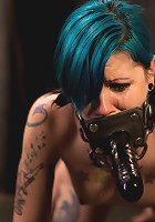 Final Exam-blue and red