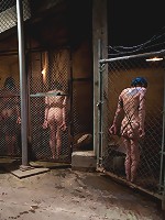 Day 2 Final Two Slaves