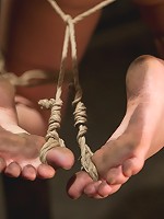 The Training of Jessie Cox, Day Three