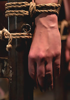 Testing Nerine Mechanique