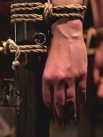 Testing Nerine Mechanique