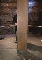 Final Exam-muscles and sparky