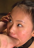 Madeline's 3rd Day of Training