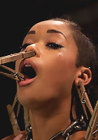 Skin Diamond Live ShowThe Final Test of Slave Training ash