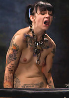 Day 5 sparky and muscles