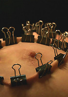 The Destruction of Torn