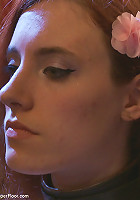 Service Day: Book Ends