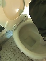 Service Day: Toilet Duty