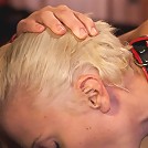 New Slaves Struggle to Please