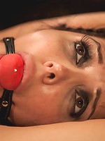 Porn Star Royalty: Francesca Le