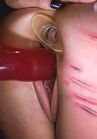 A CLASSIC FAVORITE: Vendetta in the Wall!!!  Maitresse Madeline's