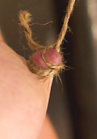 Penny Pax has been Felony'ed