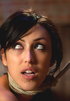 A Night of Distraction