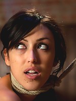 A Night of Distraction