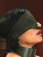 Daytime Fantasy - Electrifying Indulgence