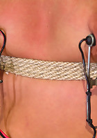 The Electro Lesbian Club